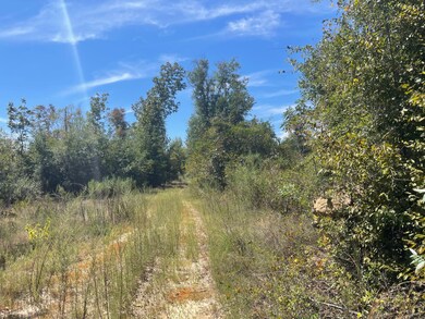 0 Black Rd unit 24725300, Marianna, FL 32446 - photo 7