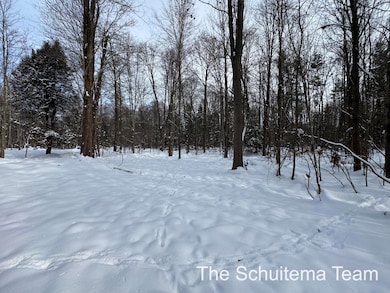 V/L Hickory St, Fruitport, MI 49415 - photo 3