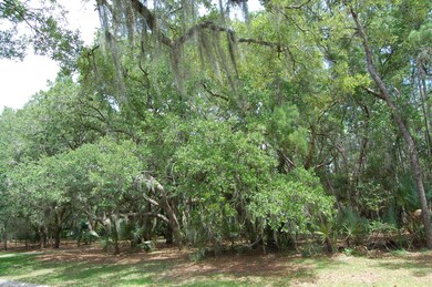 Front View of lot