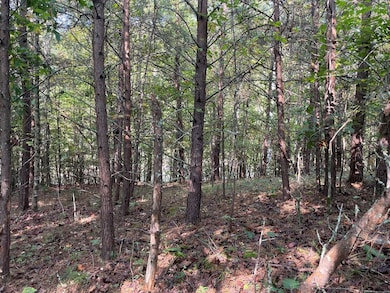 00 Country Walk, Franklin, NC 28734 - photo 6