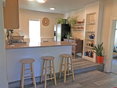 835 E 6th Ave, Durango, CO 81301 - photo 4