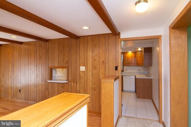 521 Firefly Dr, Eldersburg, MD 21784 - photo 5