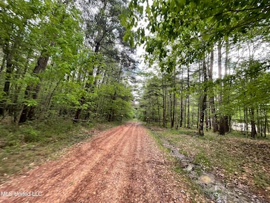 6095 County Road 23, Louin, MS 39338 - photo 3