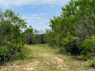 0000 Cr 327 Lot 8, Jourdanton, TX 78026 - photo 2