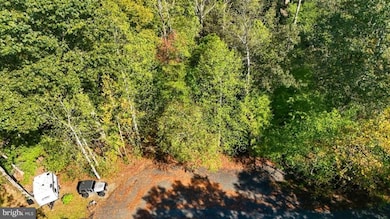 14 Mechunk Terrace, Lake Monticello, VA 22963 - photo 5