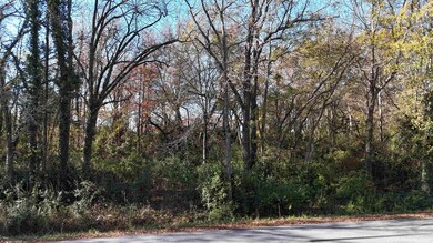 000 Betsy Ln, Woodruff, SC 29388 - photo 3