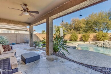 Back Patio