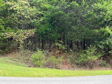 137 Shore Dr, Shirley, AR 72153 - photo 4