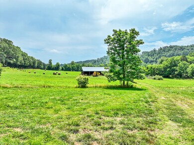 8318 Sinking Creek Rd, Linden, TN 37096 - photo 7