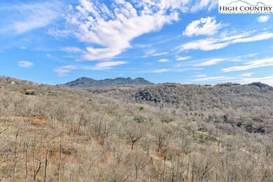 208 Cloud Spring Dr, Sugar Mountain, NC 28604 - photo 6