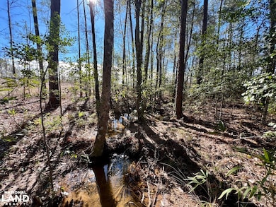 0 Bud Odom Rd unit 25514042, Deer Park, AL 36529 - photo 3