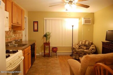 117 Michaels Run Rd, Stroudsburg, PA 18360 - photo 4