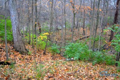 15711 Custar Rd, Grand Rapids, OH 43522 - photo 7