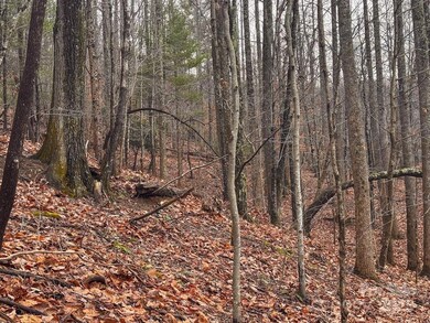 0 Taylor Dr unit CAR4210184, Moravian Falls, NC 28654 - photo 5