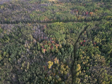 TBD U S Highway 71, Big Falls, MN 56658 - photo 7