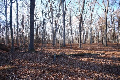 Lot 67 Mill Mountain Rd, Romney, WV 26757 - photo 5