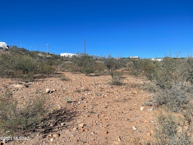 1853 Isabel Ct unit 183, Rio Rico, AZ 85648 - photo 6