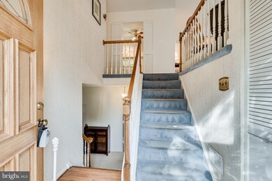 4920 King Solomon Dr, Annandale, VA 22003 - photo 4