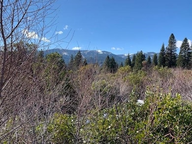 Lot 8 Twin View Ct, Mount Shasta, CA 96067 - photo 5