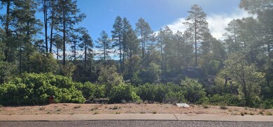 0 E Phoenix St, Payson, AZ 85541 - photo 4