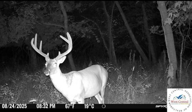 00 Tavern Creek Rd, Iberia, MO 65486 - photo 7