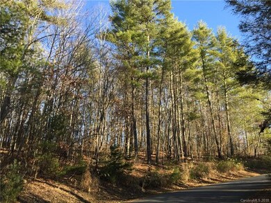 Lot 4 road frontage