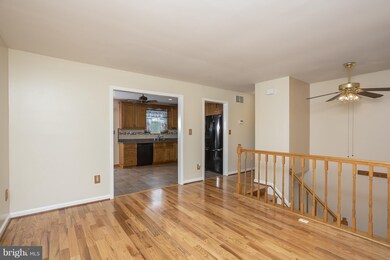 1234 Violette Ave, Baltimore, MD 21229 - photo 5