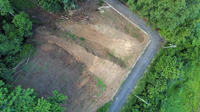 n/a Camino Los Ruiz unit n/a, Trujillo Alto, PR 00976 - photo 7