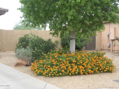 Beautiful front yard landscape