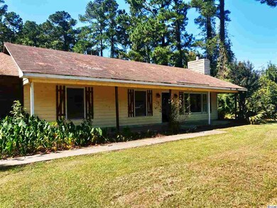 7199 Highway 134, Conway, SC 29527 - photo 2