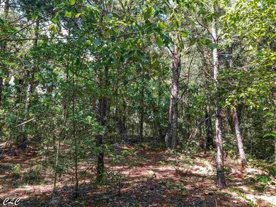 160 Kimberly Dr, Byron, GA 31008 - photo 6