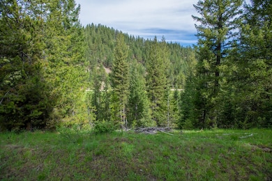 0 Tbd 36 Clear Creek Rd, Cascade, ID 83611 - photo 6