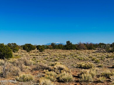 4117 Red Butte Rd unit Lot B, Williams, AZ 86046 - photo 6
