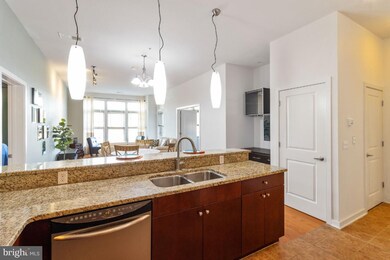 Twelve 09 unit 221, Baltimore, MD 21201 - photo 7