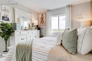 Bedroom with multiple windows