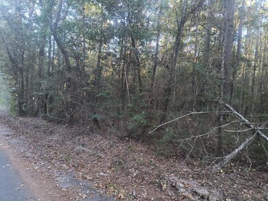 NHN Triangle Dr, Laurel, MS 39443 - photo 3