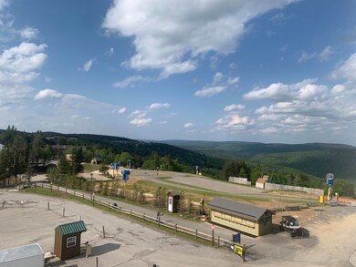 Slopeside view
