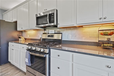 807 Asbury Pointe Ln, Painesville, OH 44077 - photo 3