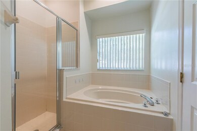 Master Bathroom - Stand up shower and tub