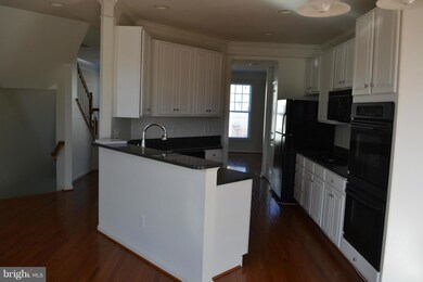 9181 Ribbon Falls Loop, Bristow, VA 20136 - photo 3