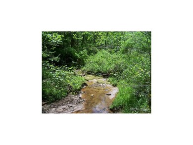Nice stream through property