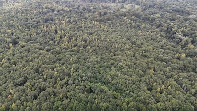 0 Parish Road 660 Lot unit WP001, Winnfield, LA 71483 - photo 3