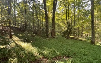 Additional View