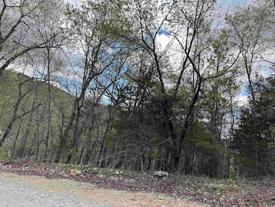 0 Off Dovewood Ln unit 22007754, Flippin, AR 72634 - photo 3