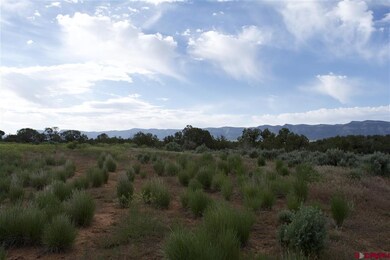 0 Road K 3, Cortez, CO 81321 - photo 5