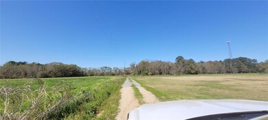 0 Newman Rd unit 7559711, Mobile, AL 36695 - photo 2