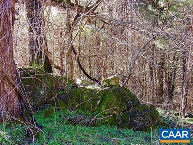 0 Frays Meadow Ln unit 615104, Earlysville, VA 22936 - photo 3