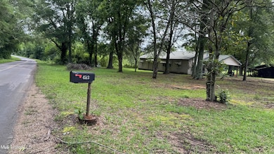 4513 Lawrence Hazel Rd, Lawrence, MS 39336 - photo 3