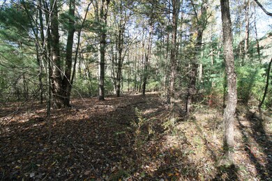 F 70th St, South Haven, MI 49090 - photo 4