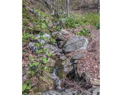 442 Boston Rd W, Palmer, MA 01069 - photo 3